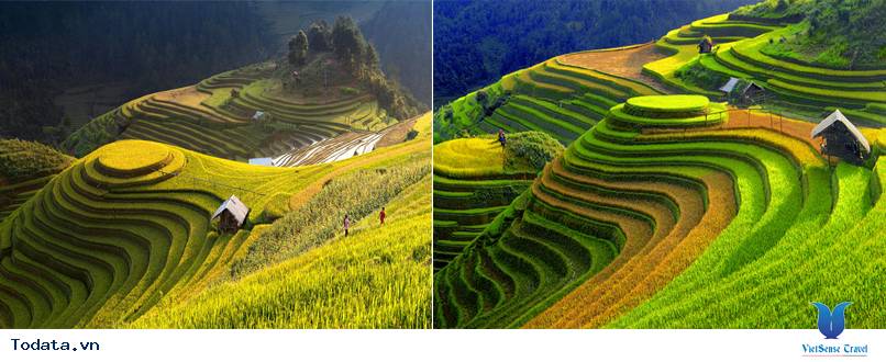 Ruộng Bậc Thang Mù Cang Chải